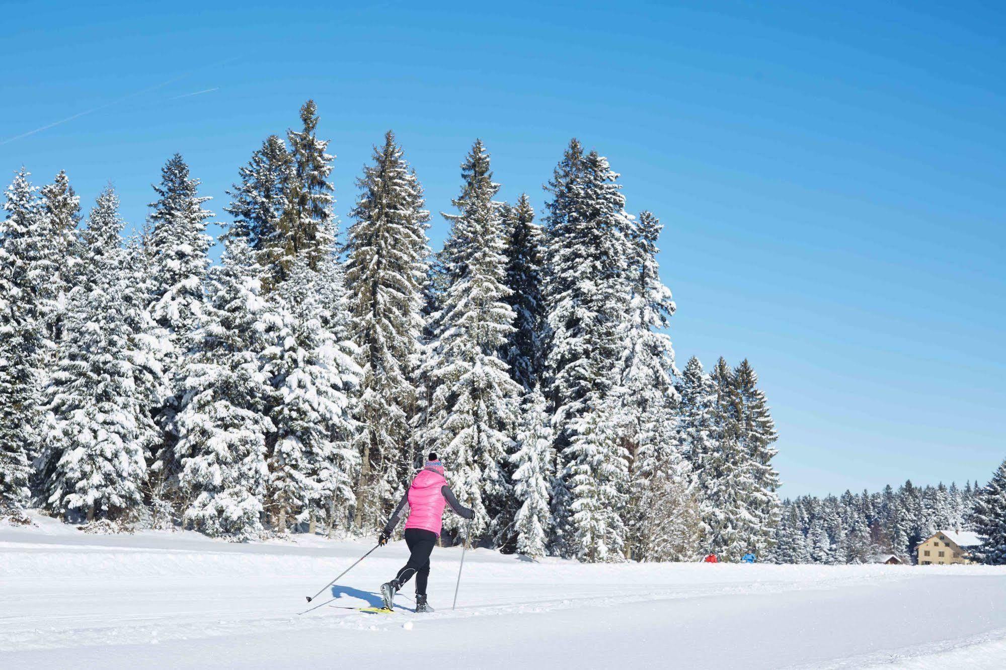 Allgaeu Sonne Oberstaufen Luaran gambar